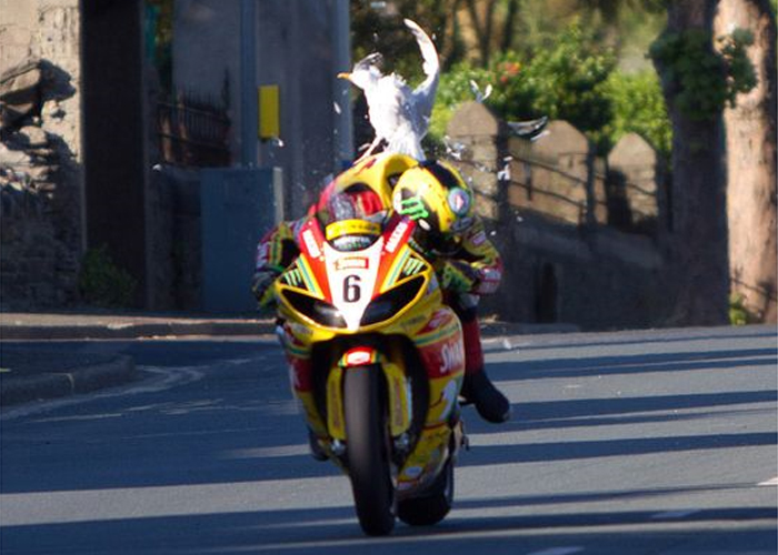 Hutchinson se choca con una gaviota a 270 km/h