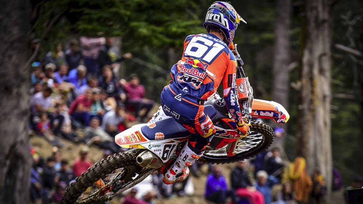 Jorge Prado