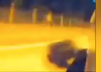 Increíble reacción del autopiloto de Tesla con jabalí