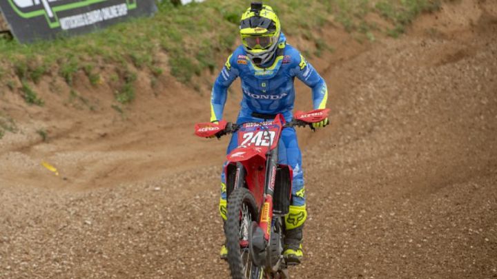 Intratable Gajser
