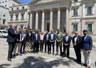 Las federaciones autonómicas, en el Congreso de los Diputados
