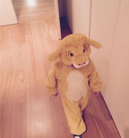 ¿Qué hijo de un futbolista se disfraza de Simba en Carnaval?