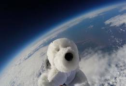 ¿Pero qué hace un perro de peluche en el espacio?