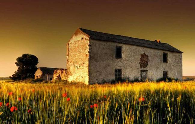 El camino de humanizar al mundo rural y no a los animales