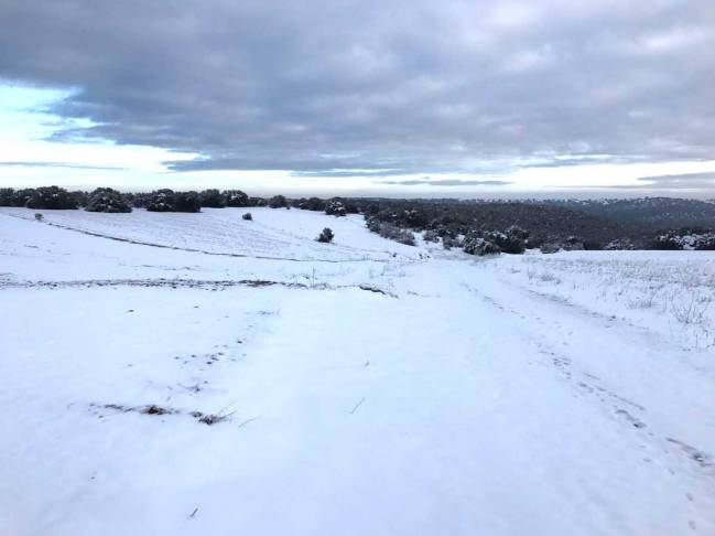El campo nevado