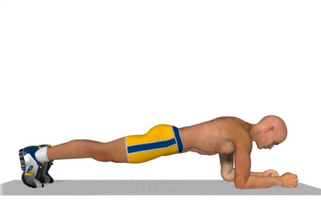 plancha