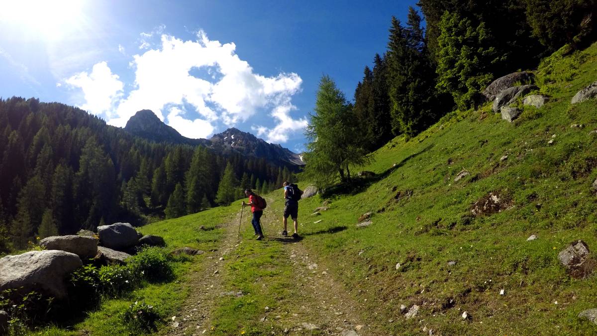 Como mejorar su vida con un simple trekking