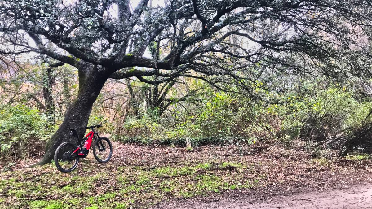 ¿Se puede volver a los pedales de plataforma con las e-bikes?