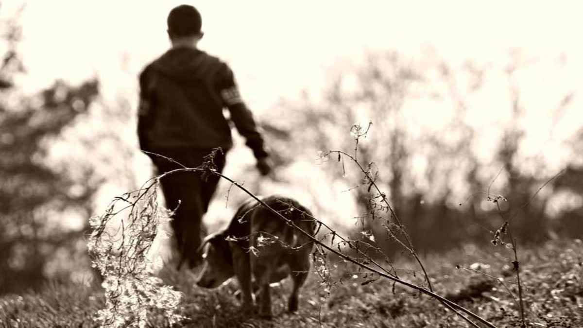 Nuestro perro de caza en veda