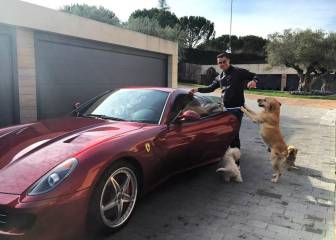 Las mascotas de Cristiano Ronaldo