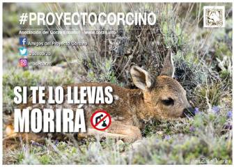 Proyecto Corcino