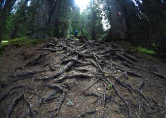 Sumergidos en la naturaleza de los Alpes