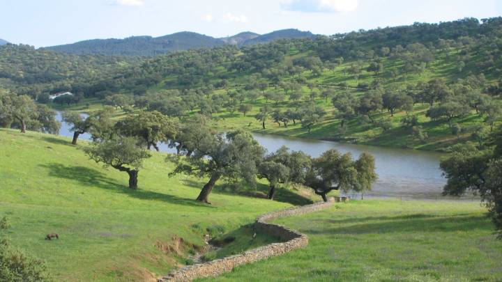 El proyecto Eco-Cicle aúna ciclismo y naturaleza en Huelva