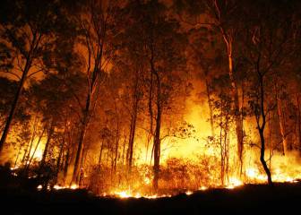 Los incendios se apagan en invierno