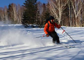 Cat Ski