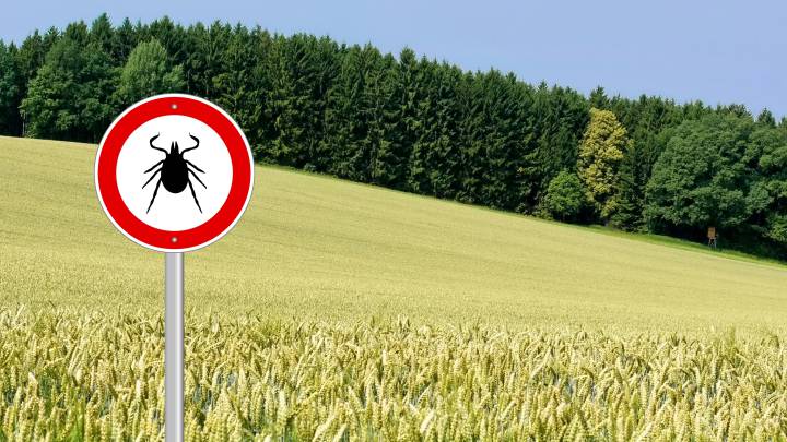 Stop garrapatas