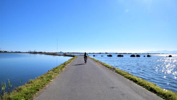 Kolotrip: Una opción profesional para organizar tu viaje en bici