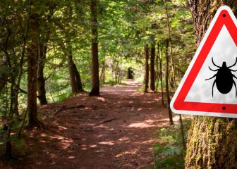 Disfrute y prevención en el campo