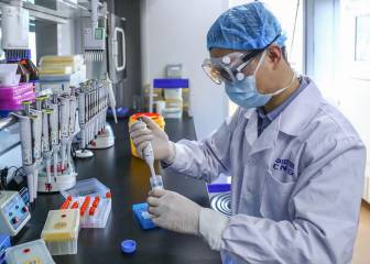 Coronavirus en Perú: ¿desaparecen los anticuerpos si has pasado la enfermedad?