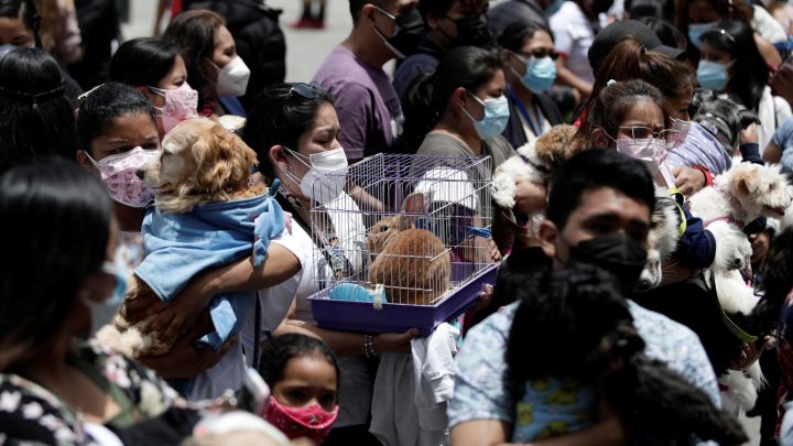Toque de queda hoy, 12 de octubre, en Perú: a qué hora comienza, hasta cuándo es y multas por salir