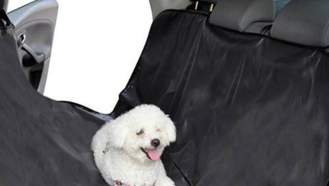 accesorios mascotas
