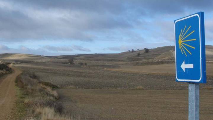 camino de santiago portugues
