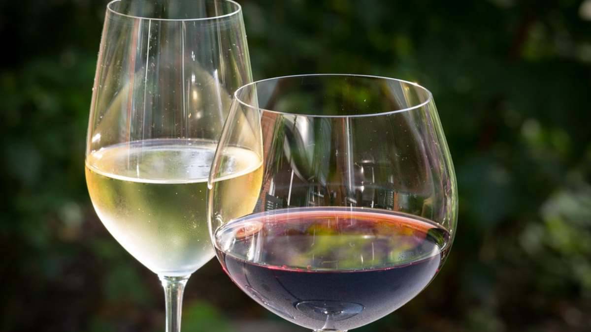 vino pescado marisco