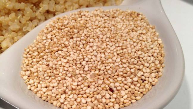los mejores alimentos para incluir en una dieta