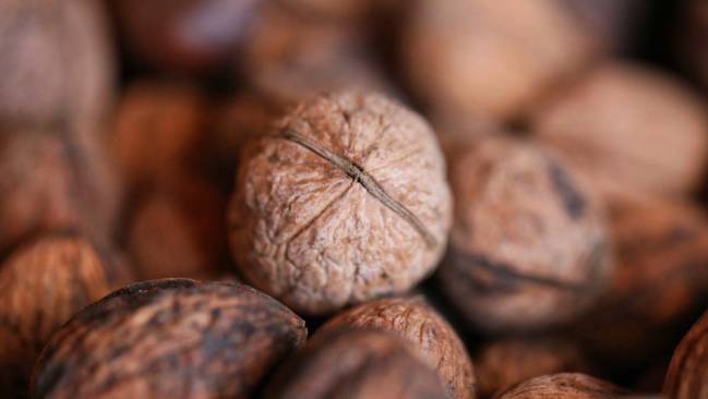 los mejores alimentos para incluir en una dieta