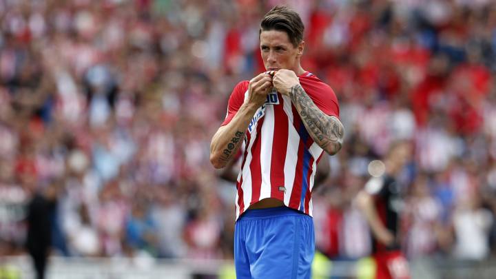FERNANDO TORRES