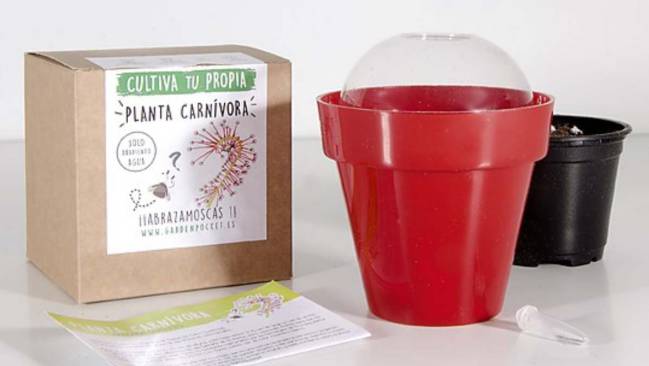 comprar regalos originales