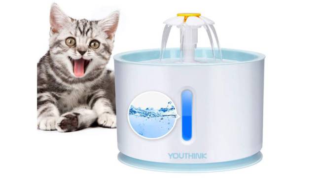 fuente para animales