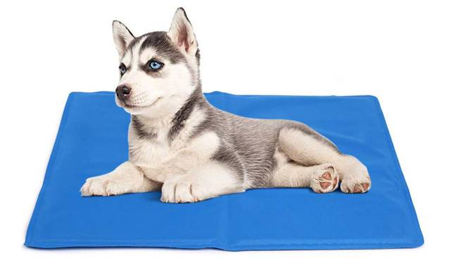 manta para perros