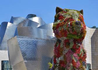 Qué hacer en Bilbao en julio. Te damos unas ideas