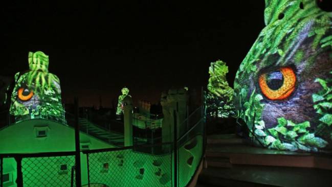 Pedrera Night Experience