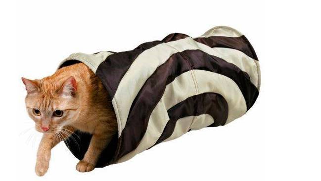 juguete para gatos