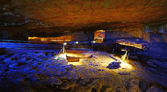 Excursión a las cuevas de Altamira.