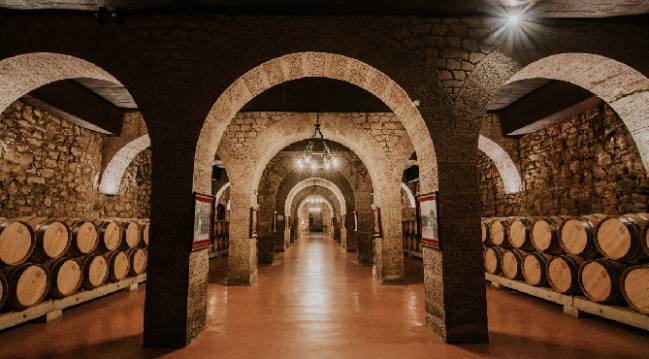 Tour Bodegas Franco-Españolas.