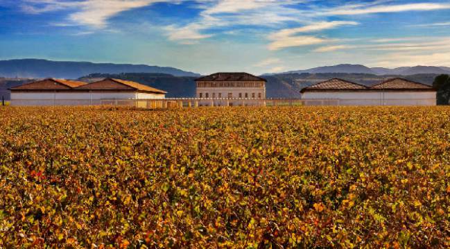 Tour Bodegas Rioja Vega