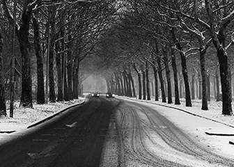 4 neumáticos de invierno que debes tener en cuenta
