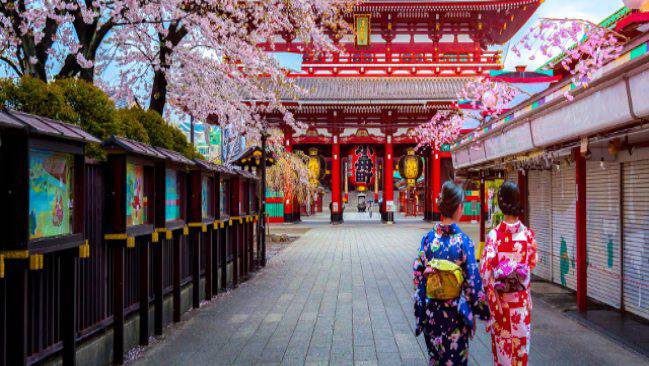 Tour por la ciudad de Tokyo