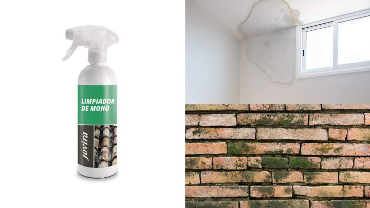 ¿Moho en cocinas o baños? Dile adiós con este limpiador, ideal para cualquier superficie