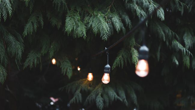 iluminar jardin