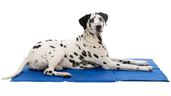 Mantas refrescantes para perros opiniones