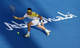 Ferrer ganó a Tipsarevic y no estará ante Canadá en la Davis Ferrer ganó a Tipsarevic y no estará ante Canadá en la Davis