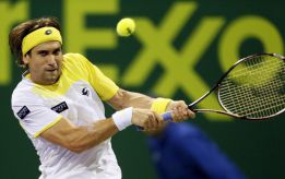 David Ferrer, a segunda ronda tras una hora de interrupción David Ferrer, a segunda ronda tras una hora de interrupción