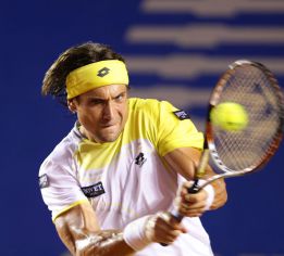 David Ferrer encabeza los triunfos españoles en México David Ferrer encabeza los triunfos españoles en México