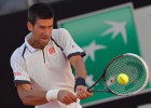 Djokovic cumple ante Montañés y Federer arrolla a Starace