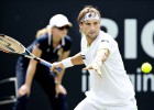 El belga Xavier Malisse sorprende a David Ferrer