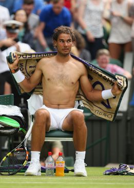 Nadal y Ferrer volverán al circuito en Hamburgo